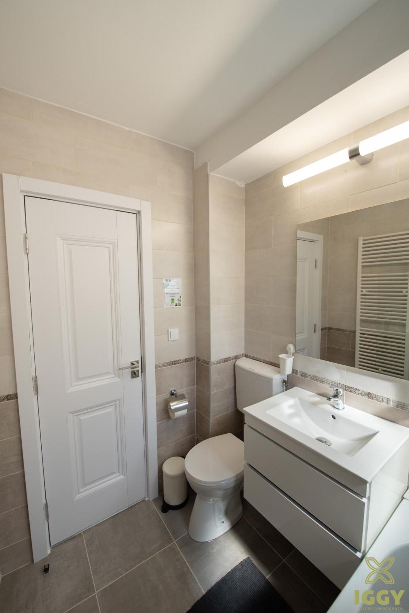 Iggy Premium Apartment Hunedoara Buitenkant foto