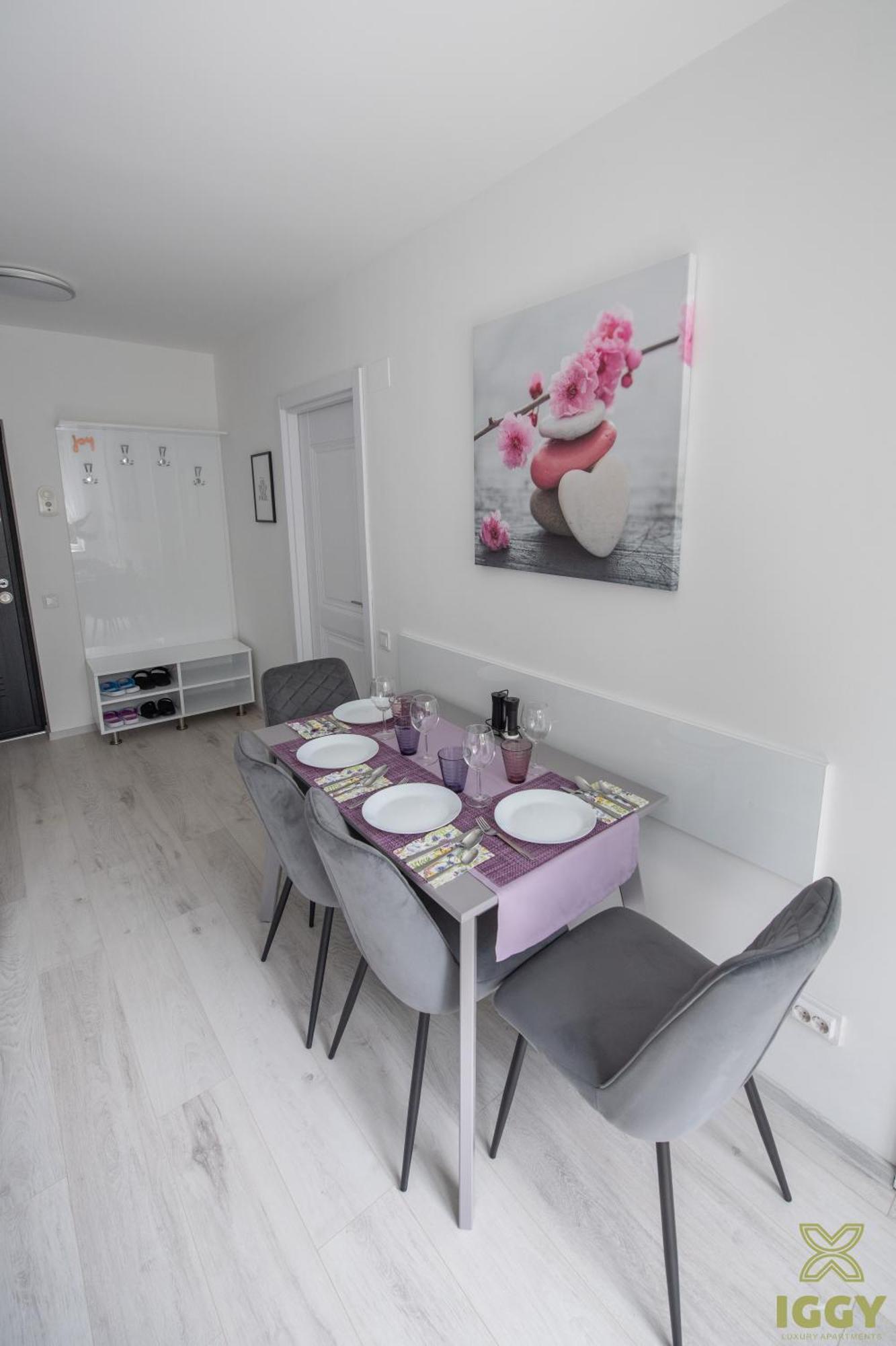 Iggy Premium Apartment Hunedoara Buitenkant foto