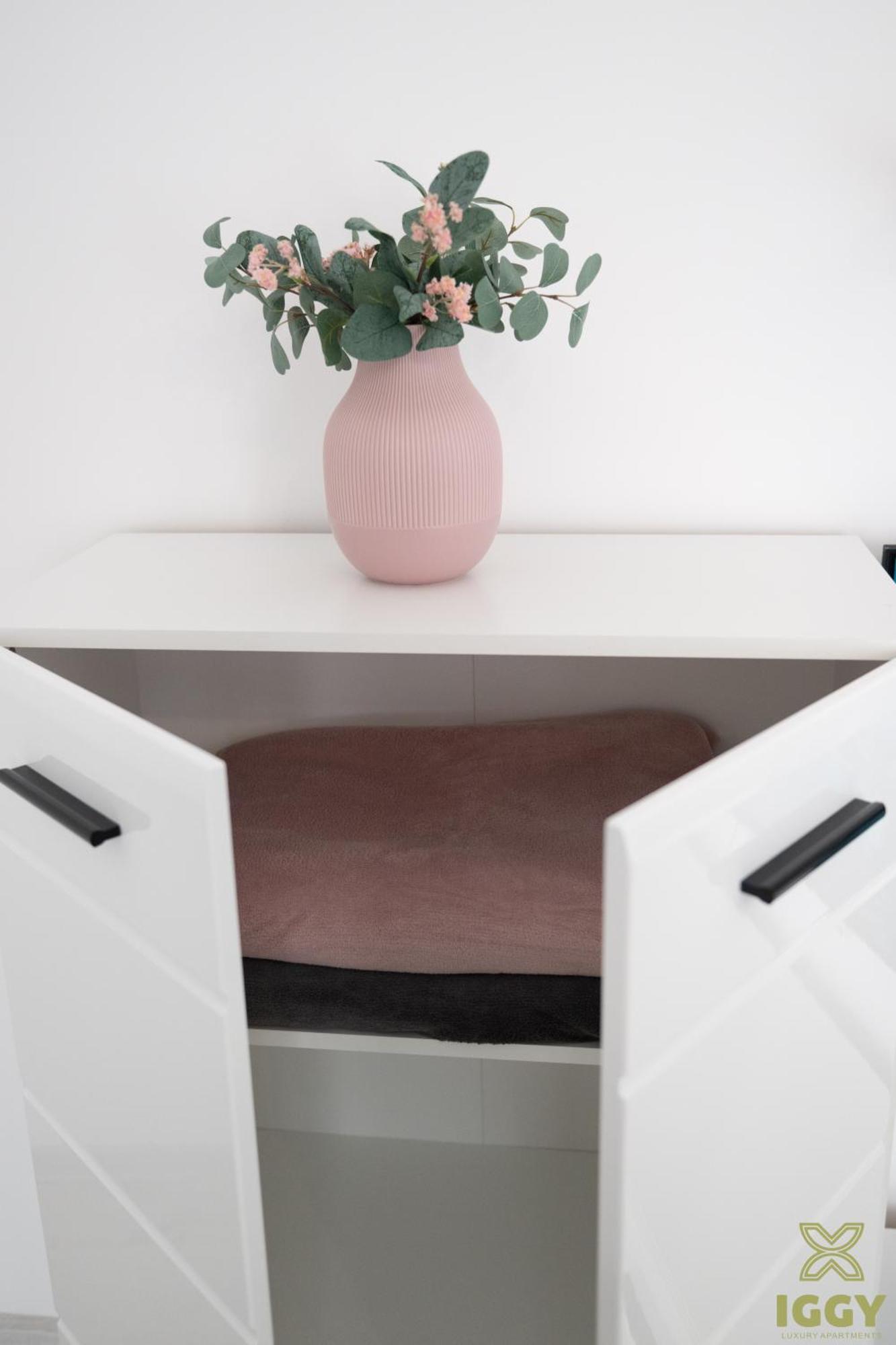 Iggy Premium Apartment Hunedoara Buitenkant foto