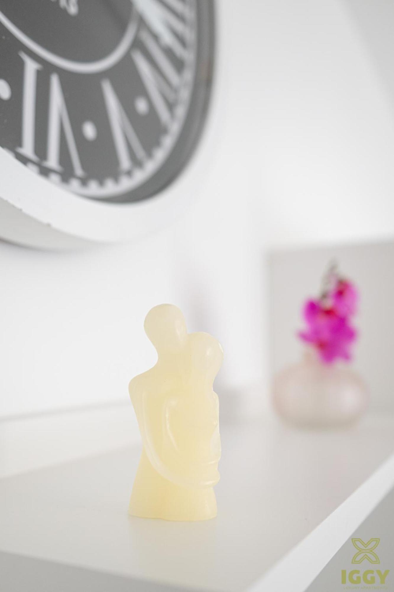 Iggy Premium Apartment Hunedoara Buitenkant foto