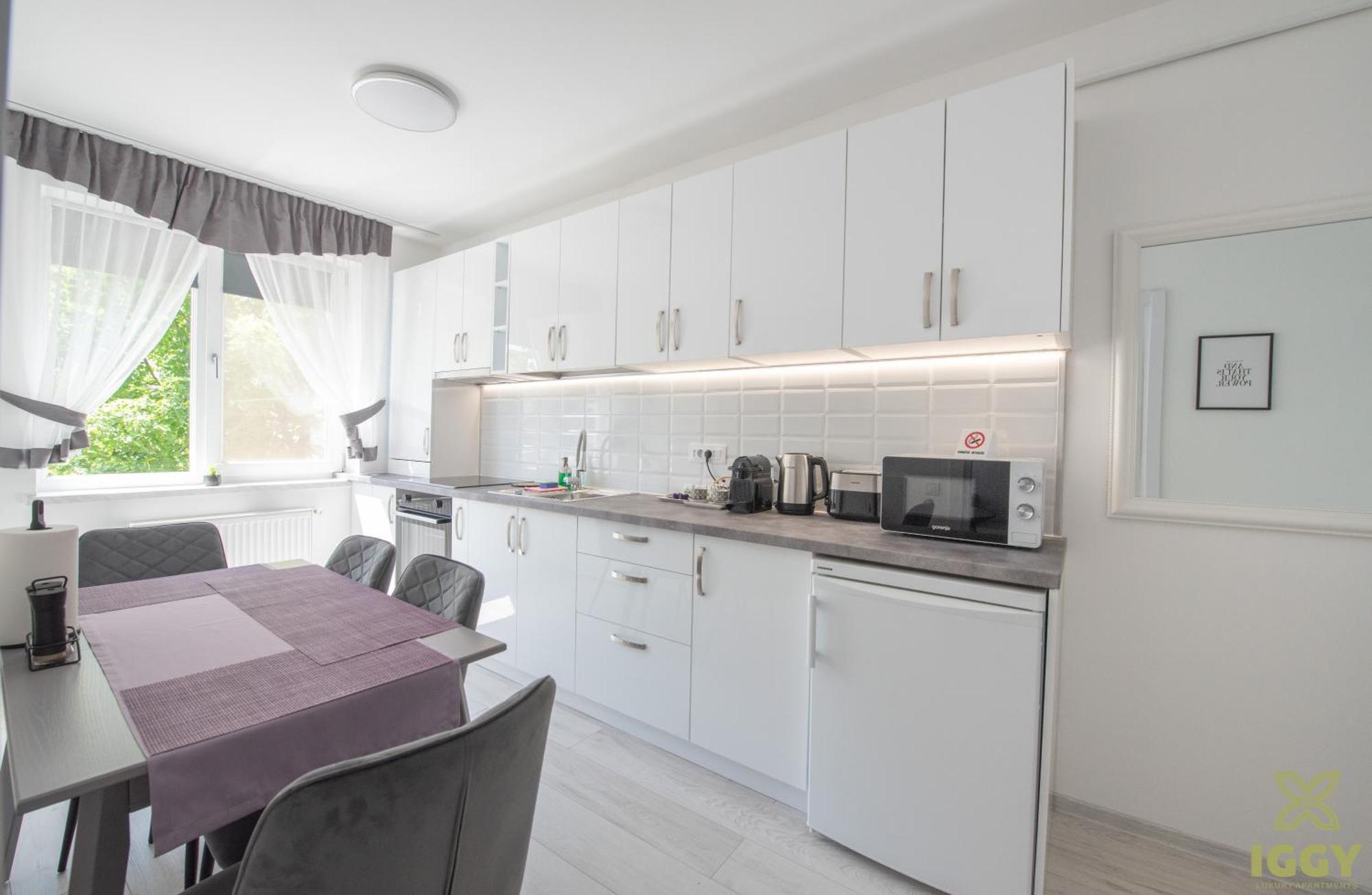 Iggy Premium Apartment Hunedoara Buitenkant foto