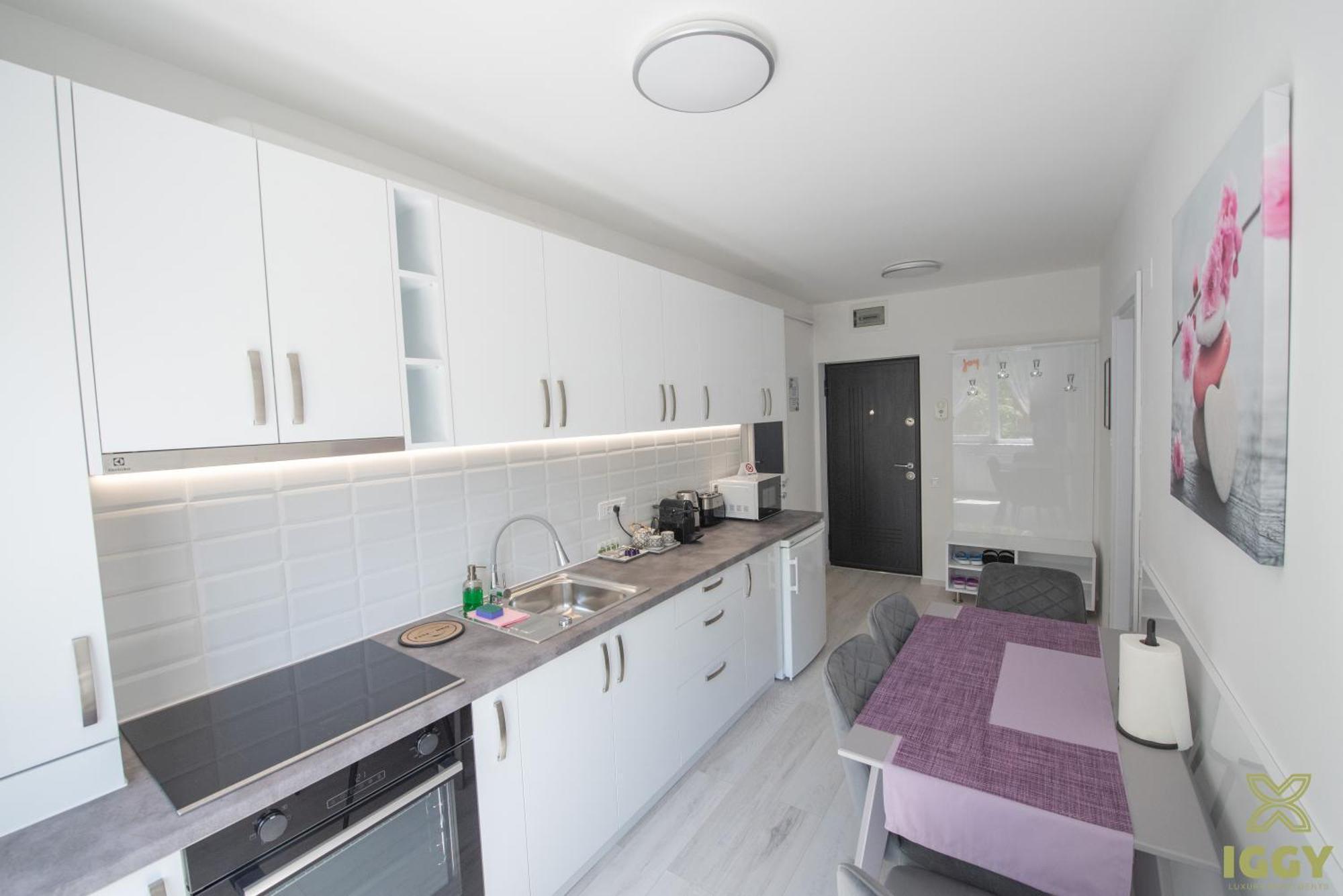 Iggy Premium Apartment Hunedoara Buitenkant foto