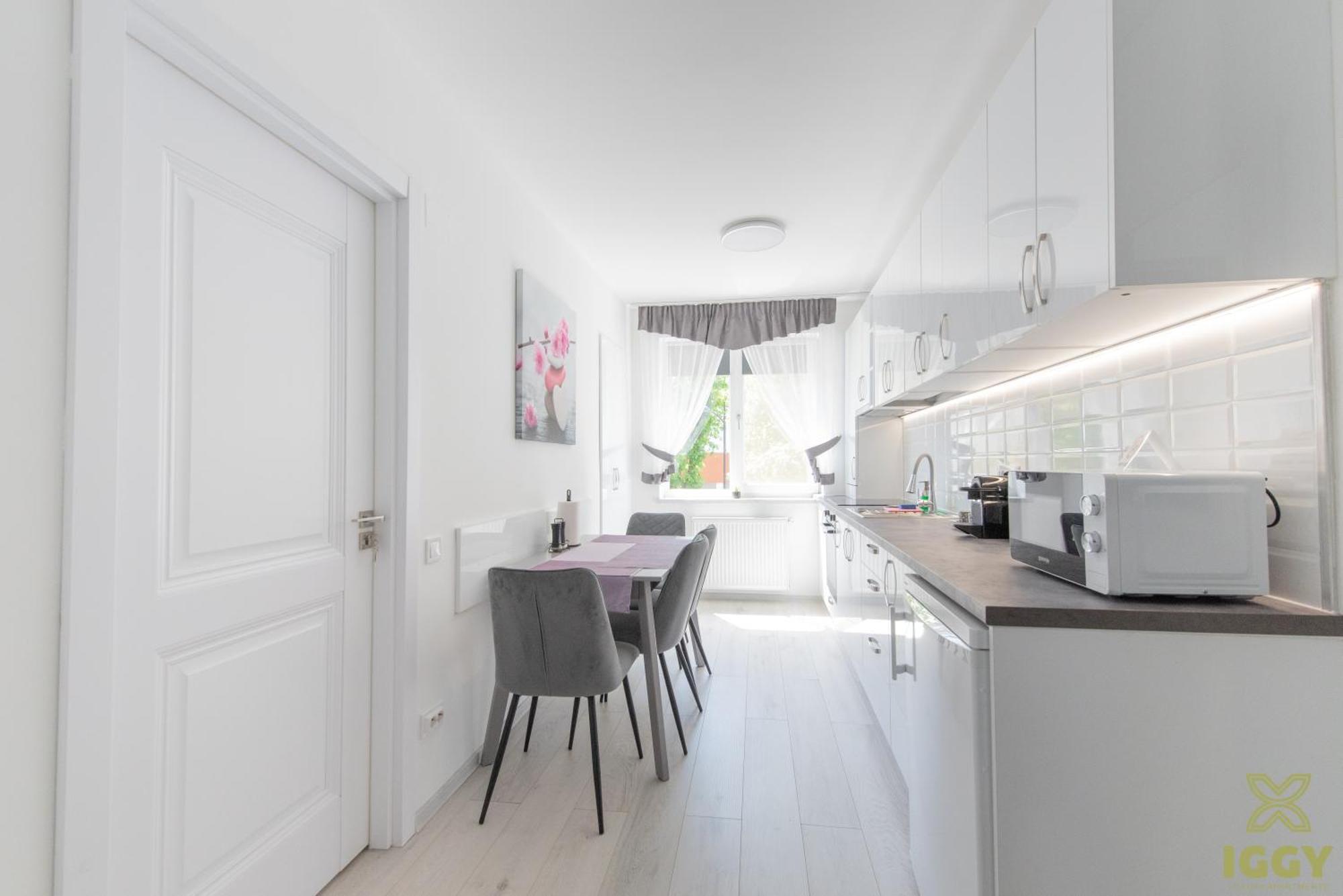 Iggy Premium Apartment Hunedoara Buitenkant foto