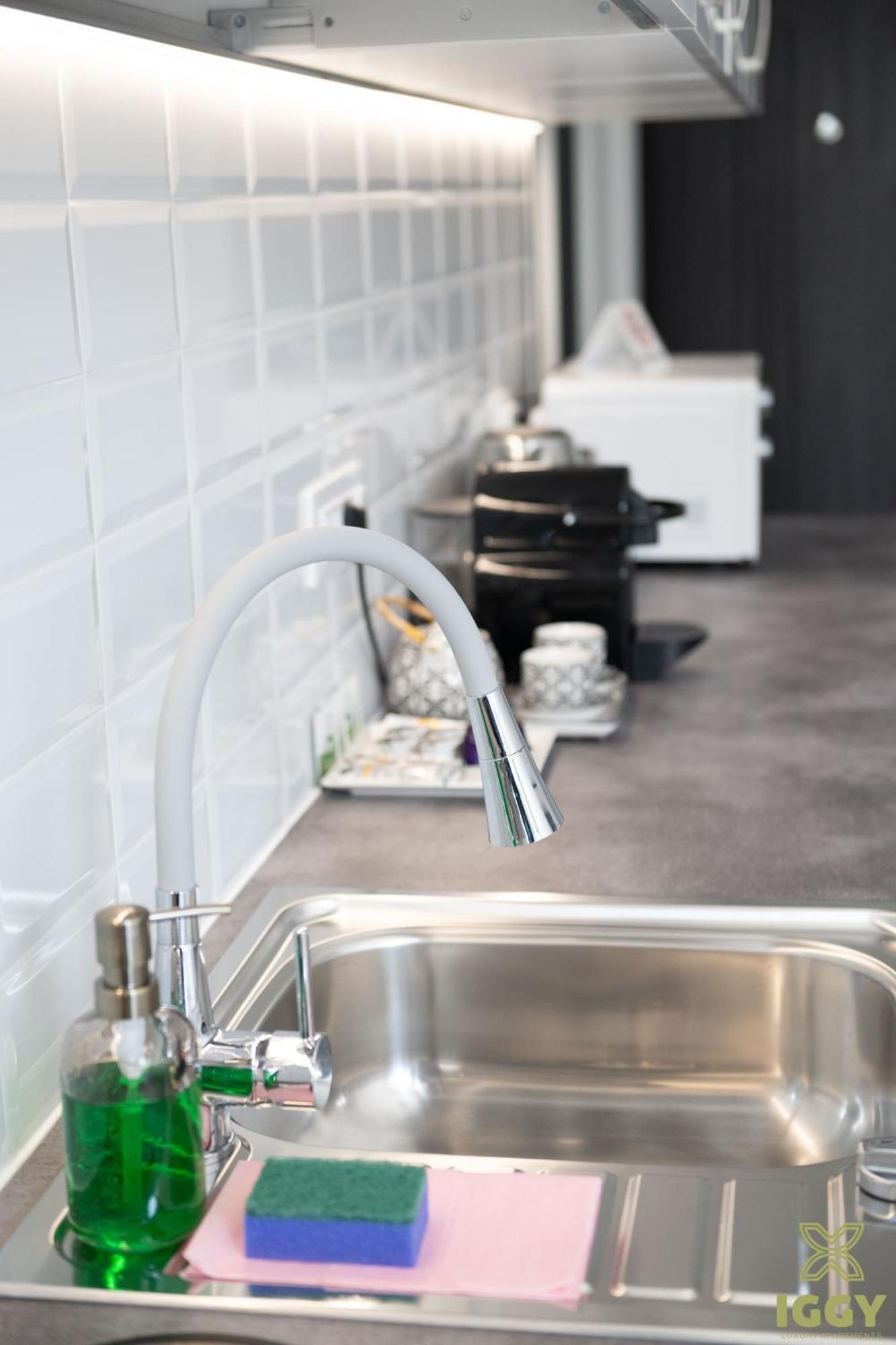 Iggy Premium Apartment Hunedoara Buitenkant foto