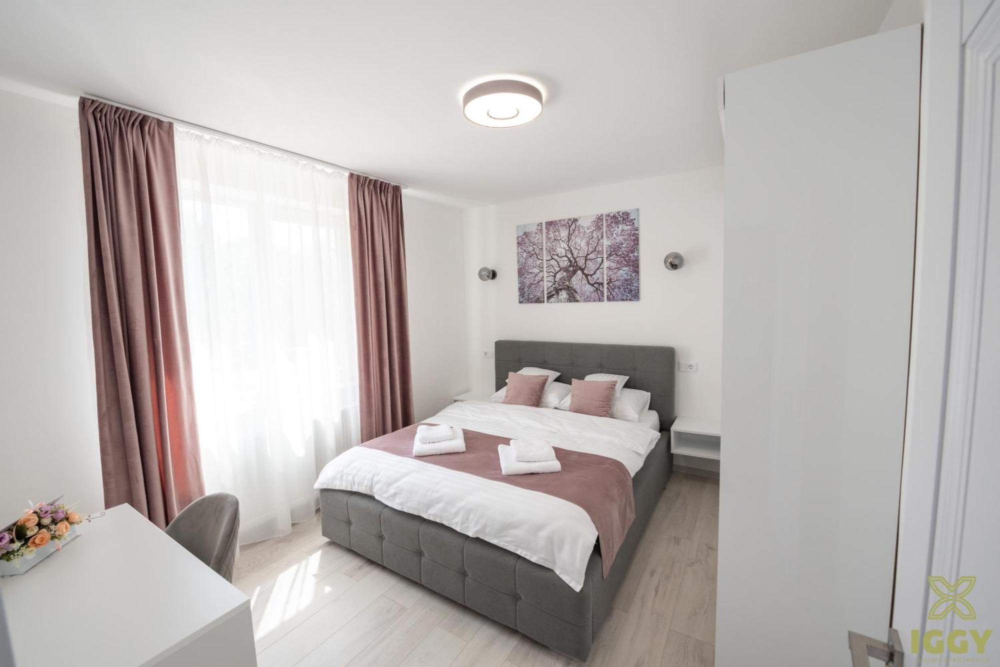 Iggy Premium Apartment Hunedoara Buitenkant foto