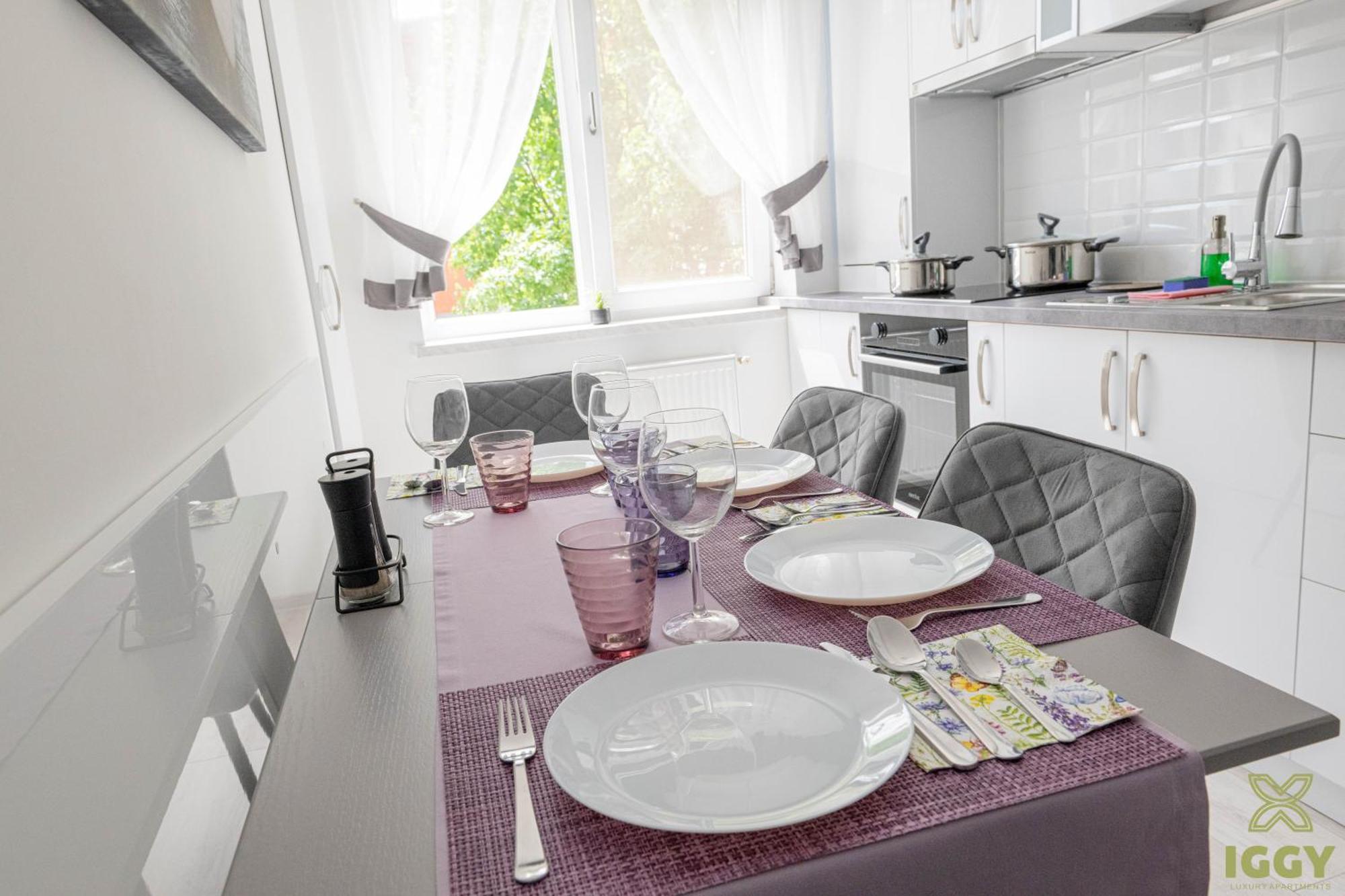 Iggy Premium Apartment Hunedoara Buitenkant foto